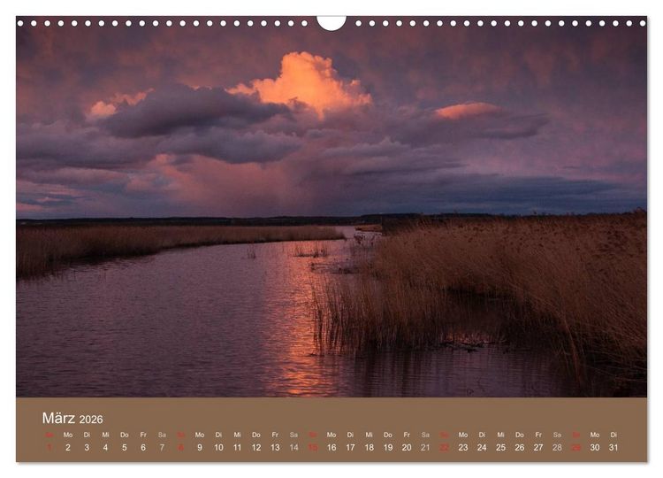 Produktbild: Der Federsee - Vogelparadies in Oberschwaben (Wandkalender 2026 DIN A3 quer), CALVENDO Monatskalender