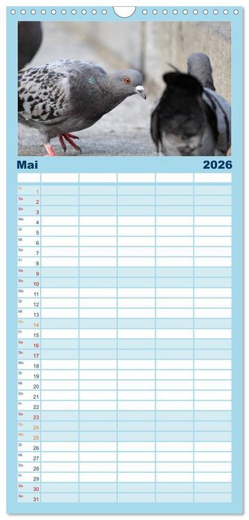 Produktbild: Familienplaner 2026 - Geliebte Tauben mit 5 Spalten (Wandkalender, 21 x 45 cm) CALVENDO