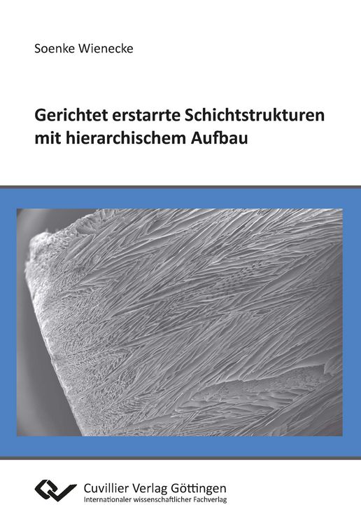 Produktbild: Gerichtet erstarrte Schichtstrukturen mit hierarchischem Aufbau