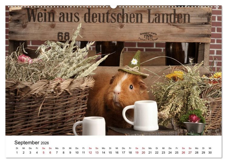 Produktbild: Unsere Meerschweinchen (hochwertiger Premium Wandkalender 2026 DIN A2 quer), Kunstdruck in Hochglanz