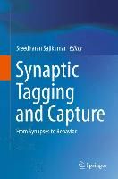 Produktbild: Synaptic Tagging and Capture