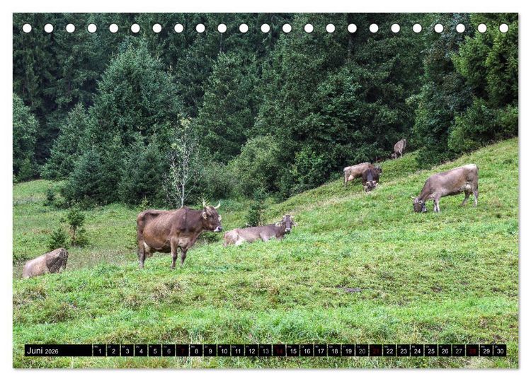 Produktbild: Allg&auml;u - Natur pur (Tischkalender 2026 DIN A5 quer), CALVENDO Monatskalender