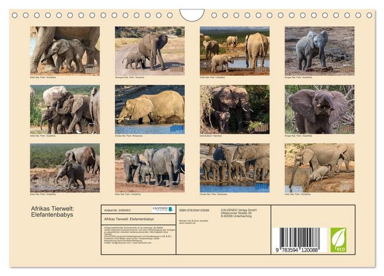 Produktbild: Afrikas Tierwelt: Elefantenbabys (Wandkalender 2027 DIN A4 quer), CALVENDO Monatskalender