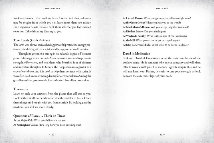 Produktbild: The Sherwood Oracle