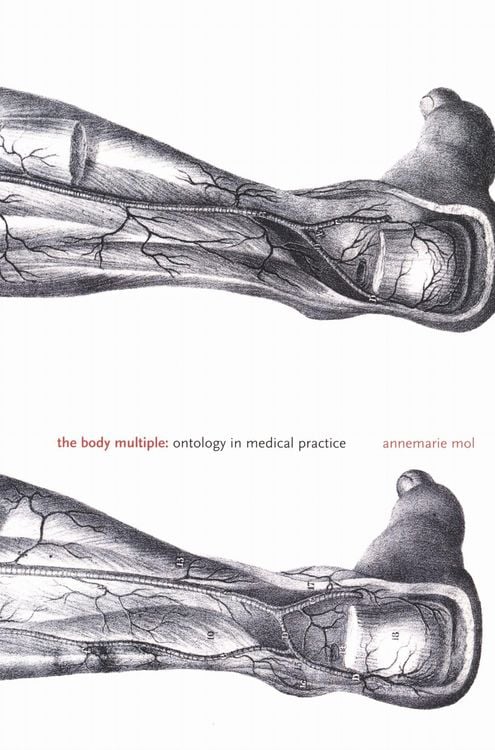 Produktbild: The Body Multiple