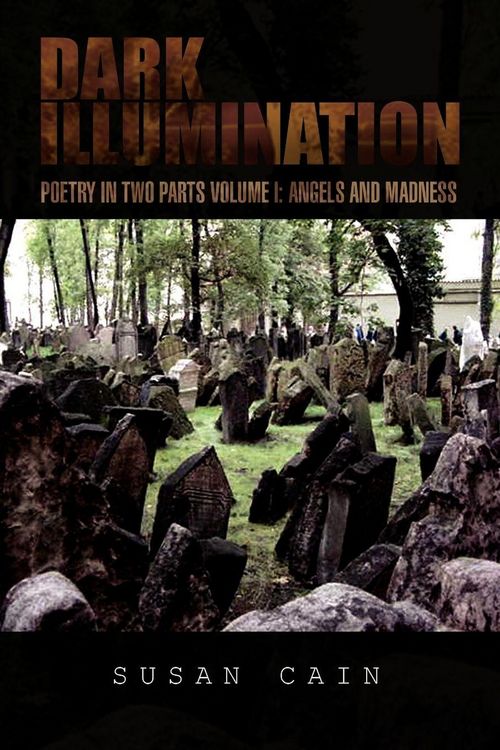 Produktbild: Dark Illumination