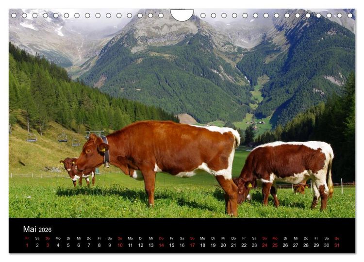 Produktbild: S&uuml;dtirol 2026 (Wandkalender 2026 DIN A4 quer), CALVENDO Monatskalender