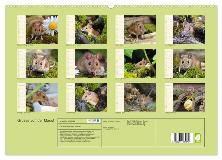 Produktbild: Gr&uuml;sse von der Maus! (hochwertiger Premium Wandkalender 2026 DIN A2 quer), Kunstdruck in Hochglanz