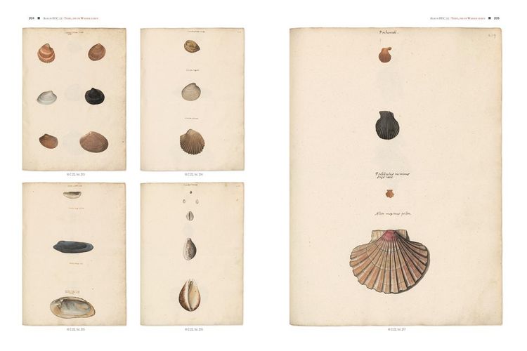 Produktbild: Conrad Gessners Thierbuch