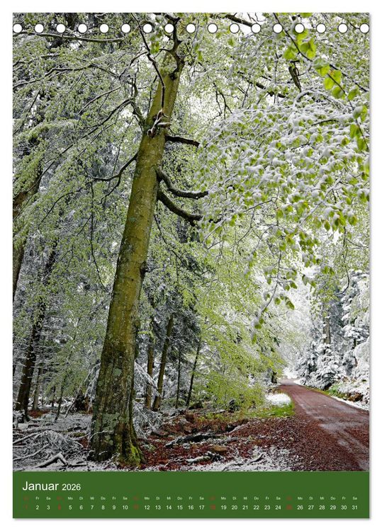 Produktbild: Schwarzwald Nord (Tischkalender 2026 DIN A5 hoch), CALVENDO Monatskalender