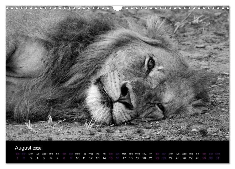 Produktbild: East Africa - Tanzania and Kenya / UK-Version (Wall Calendar 2026 DIN A3 landscape), CALVENDO 12 Month Wall Calendar