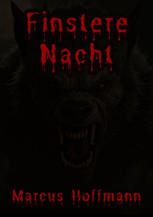 Produktbild: Finstere Nacht