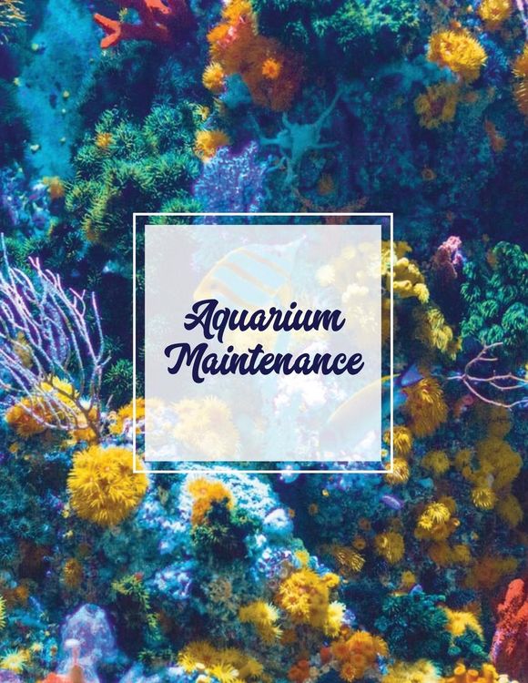 Produktbild: Aquarium Maintenance