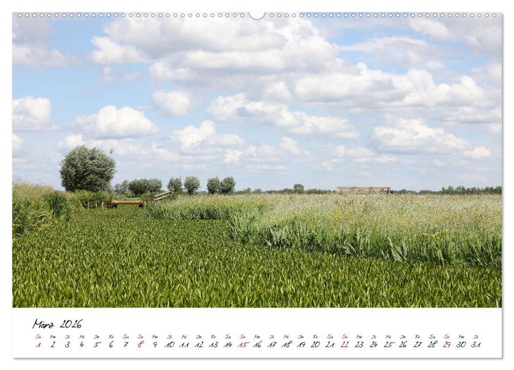Produktbild: Boat and Bike S&uuml;dholland (Wandkalender 2026 DIN A2 quer), CALVENDO Monatskalender