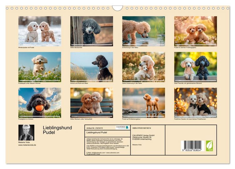 Produktbild: Lieblingshund Pudel (Wandkalender 2027 DIN A3 quer), CALVENDO Monatskalender
