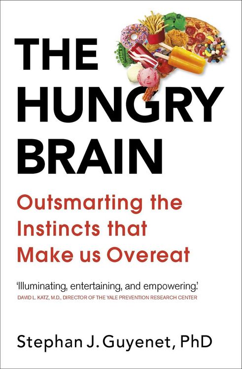Produktbild: The Hungry Brain