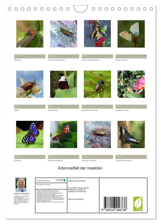 Produktbild: Artenvielfalt der Insekten (Wandkalender 2026 DIN A4 hoch), CALVENDO Monatskalender