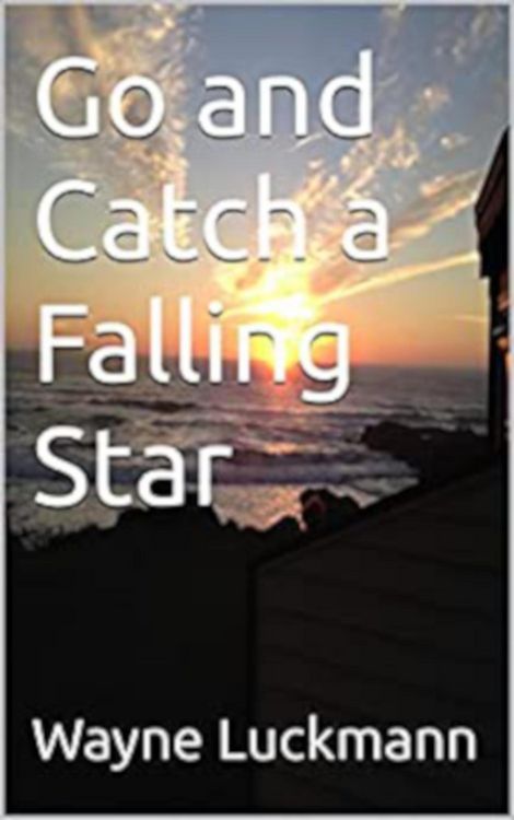 Produktbild: Go and Catch a Falling Star