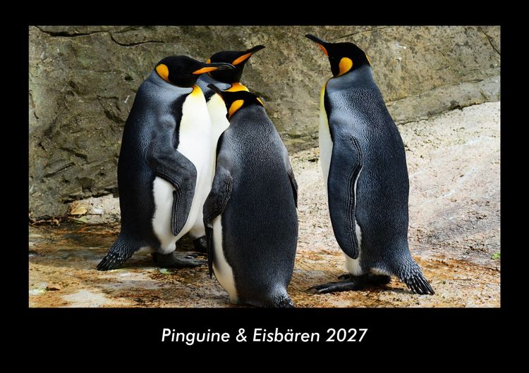 Produktbild: Pinguine & Eisb&auml;ren 2027 Fotokalender DIN A3