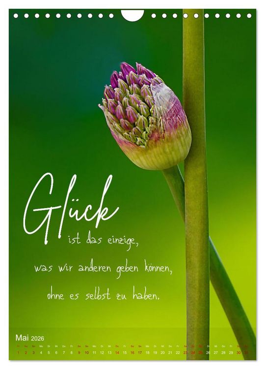 Produktbild: ICH W&Uuml;NSCHE DIR GL&Uuml;CK - 12 Monate mit inspirierenden Gl&uuml;ckszitaten (Wandkalender 2026 DIN A4 hoch), CALVENDO Monatskalender