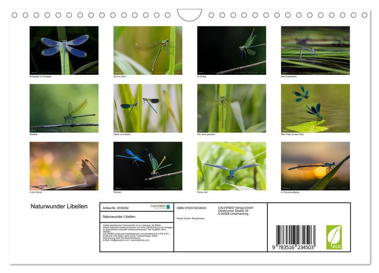 Produktbild: Naturwunder Libellen (Wandkalender 2026 DIN A4 quer), CALVENDO Monatskalender
