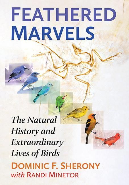 Produktbild: Sherony, D: Feathered Marvels