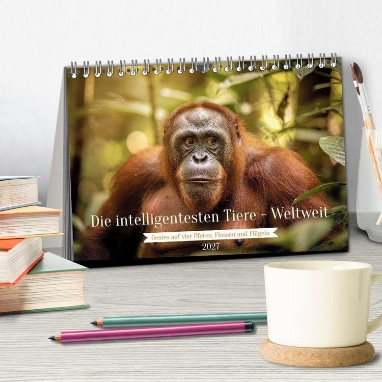 Produktbild: Die intelligentesten Tiere - Weltweit (Tischkalender 2027 DIN A5 quer), CALVENDO Monatskalender