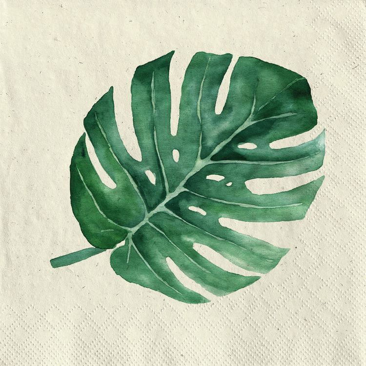 Produktbild: Serv. Monstera 24x24cm