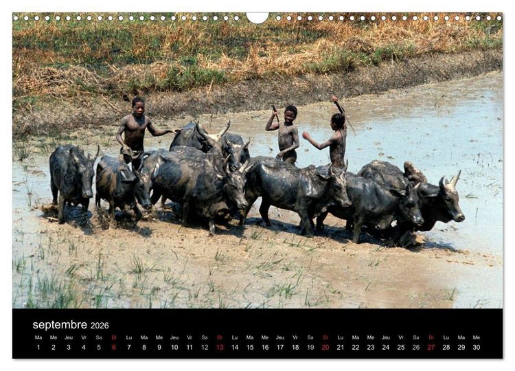 Produktbild: Madagascar L'&icirc;le aux merveilles (Calendrier mural 2026 DIN A3 vertical), CALVENDO calendrier mensuel