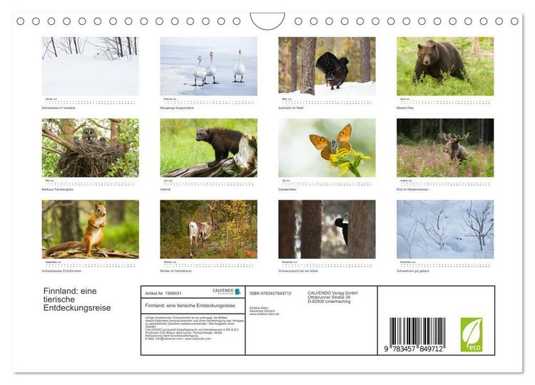 Produktbild: Finnland: eine tierische Entdeckungsreise (Wandkalender 2026 DIN A4 quer), CALVENDO Monatskalender