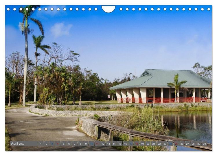 Produktbild: Sunshine State Florida Natur, Tierwelt und Nationalparks (Wandkalender 2027 DIN A4 quer), CALVENDO Monatskalender