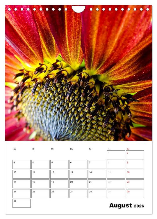 Produktbild: Strahlende Sonnenblumen (Wandkalender 2026 DIN A4 hoch), CALVENDO Monatskalender