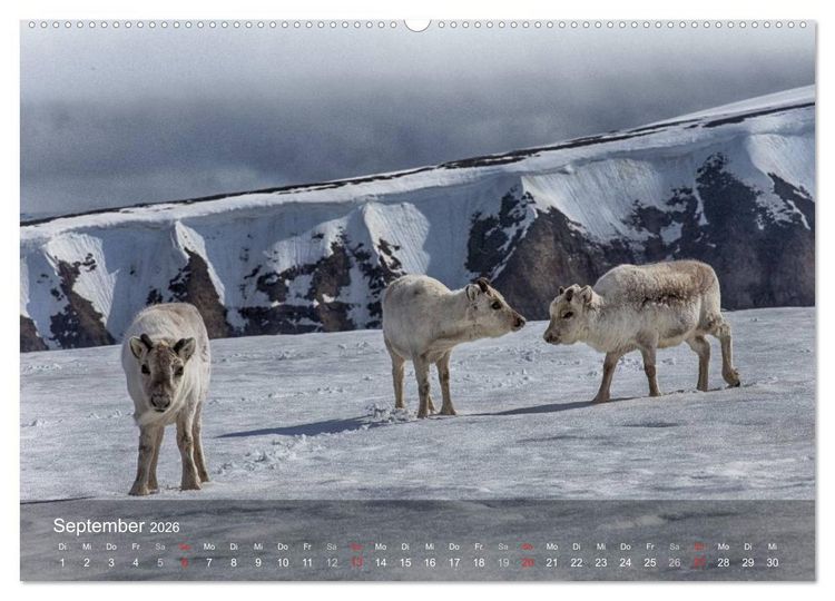 Produktbild: Spitzbergen - Impressionen aus der Arktis (hochwertiger Premium Wandkalender 2026 DIN A2 quer), Kunstdruck in Hochglanz
