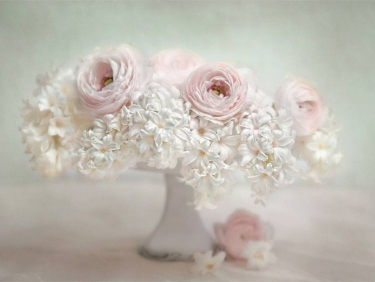 Produktbild: CALVENDO Puzzle Sanfter Beginn | 1000 Teile Lege-Gr&ouml;&szlig;e 64x48cm Foto-Puzzle f&uuml;r gl&uuml;ckliche Stunden