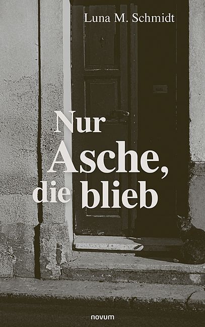 Produktbild: Nur Asche, die blieb