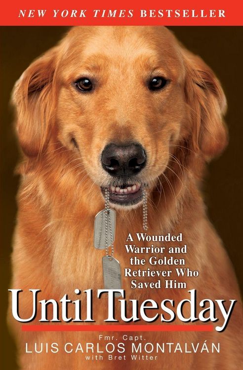 Produktbild: Until Tuesday