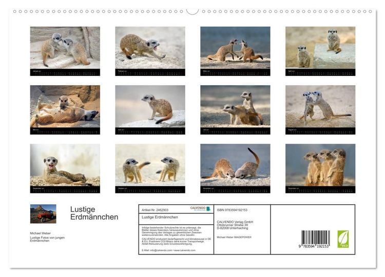 Produktbild: Lustige Erdm&auml;nnchen (hochwertiger Premium Wandkalender 2027 DIN A2 quer), Kunstdruck in Hochglanz