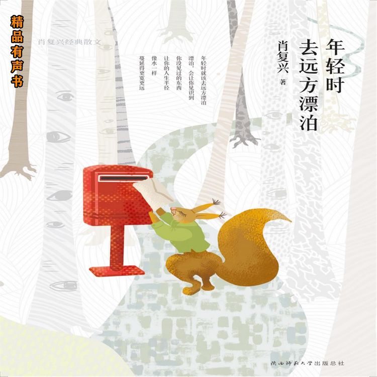 Produktbild: 年轻时去远方漂泊：肖复兴经典散文
