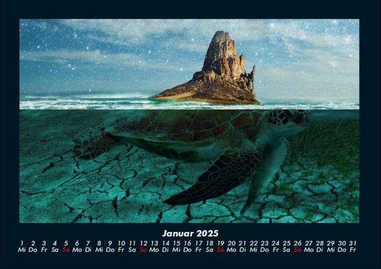Produktbild: Schildkr&ouml;tenzauber 2025 Fotokalender DIN A4
