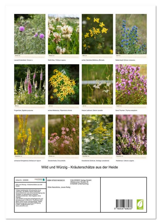 Produktbild: Wild und W&uuml;rzig - Kr&auml;utersch&auml;tze aus der Heide (Wandkalender 2026 DIN A3 hoch), CALVENDO Monatskalender