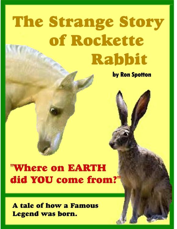 Produktbild: Strange Story of Rockette Rabbit
