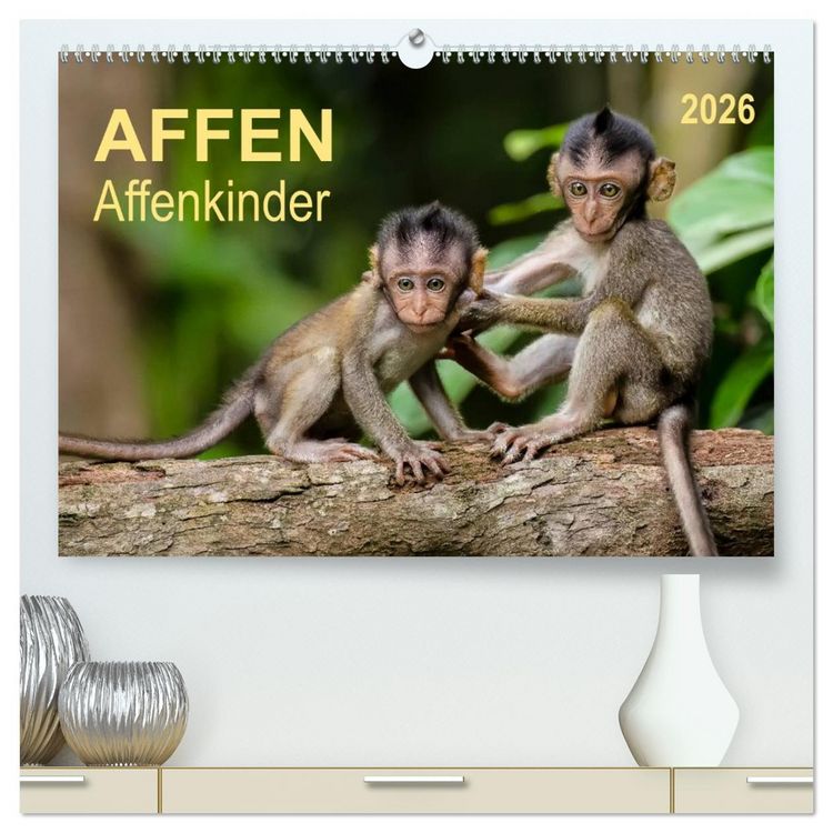 Produktbild: Affen - Affenkinder (hochwertiger Premium Wandkalender 2026 DIN A2 quer), Kunstdruck in Hochglanz