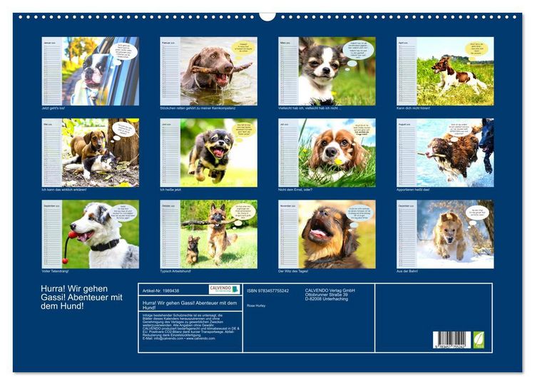Produktbild: Hurra! Wir gehen Gassi! Abenteuer mit dem Hund! (Wandkalender 2026 DIN A2 quer), CALVENDO Monatskalender
