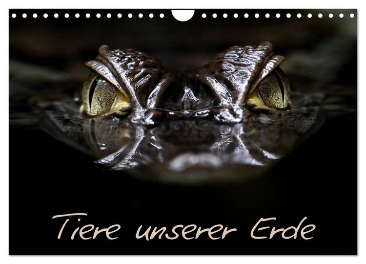Produktbild: Tiere unserer Erde (Wandkalender 2026 DIN A4 quer), CALVENDO Monatskalender