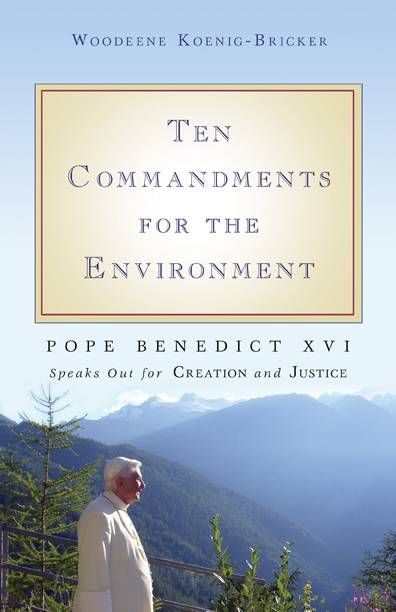 Produktbild: Ten Commandments for the Environment