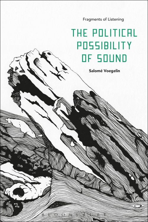 Produktbild: The Political Possibility of Sound