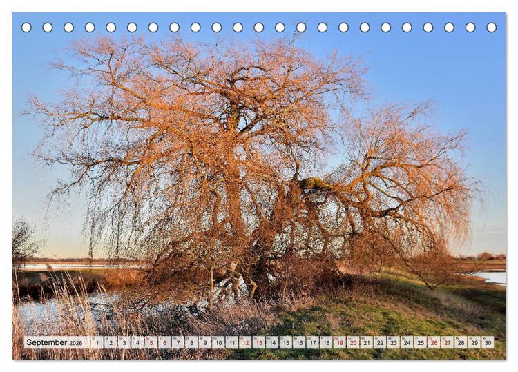 Produktbild: Hochwasser als Teil der Umwelt (Tischkalender 2026 DIN A5 quer), CALVENDO Monatskalender