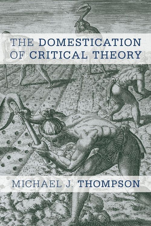 Produktbild: Domestication of Critical Theory