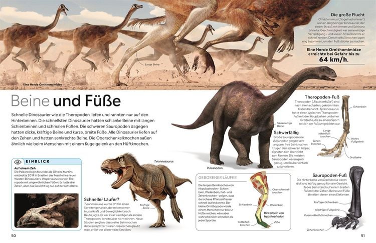 Produktbild: memo Wissen. Dinosaurier