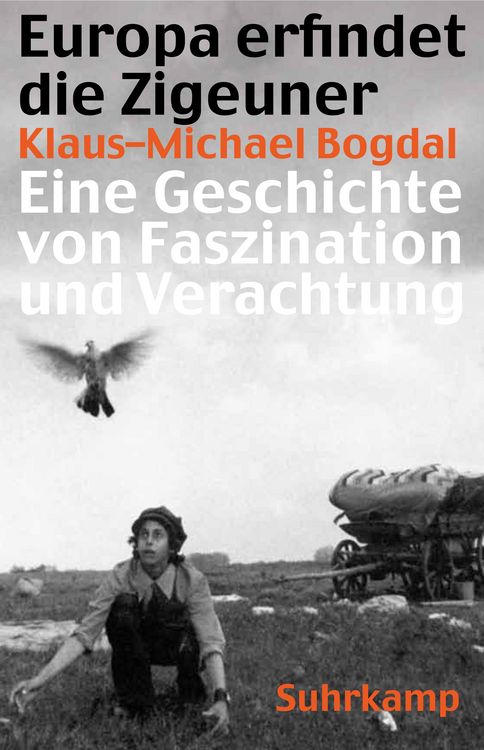Produktbild: Europa erfindet die Zigeuner